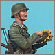 German soldier with sunflower
