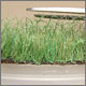 Grass in 1:35 scale