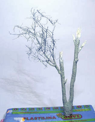 Диорамы и виньетки: Каса де Кампо, фото #7