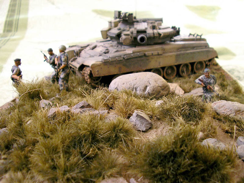 Dioramas and Vignettes: Before combat, photo #2