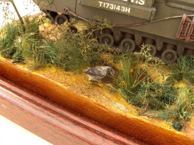 Dioramas and Vignettes: , photo #2