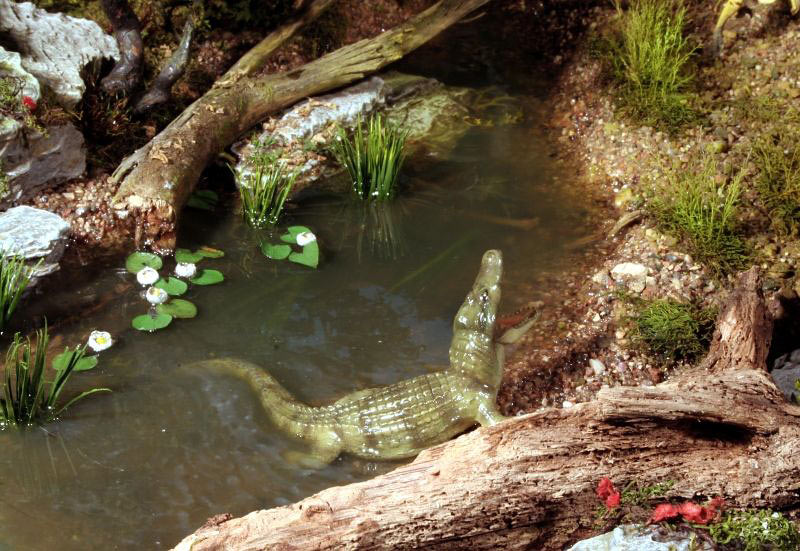 Dioramas and Vignettes:  Bank Holiday. Late Cretaceous., photo #8