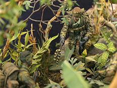 В джунглях Вьетнама (Это стоит посмотреть)