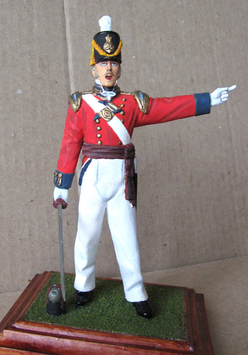 Training Grounds: British Infantry Officer, 1815, photo #1