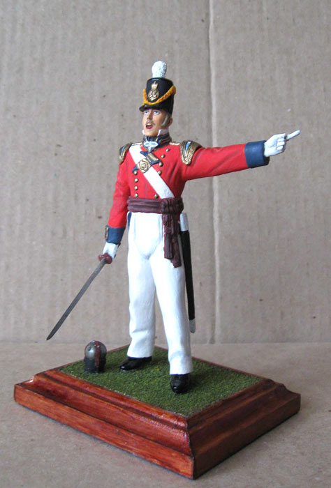Training Grounds: British Infantry Officer, 1815, photo #2