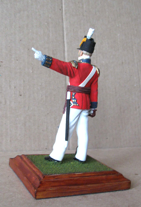 Training Grounds: British Infantry Officer, 1815, photo #3
