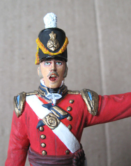 Training Grounds: British Infantry Officer, 1815, photo #4