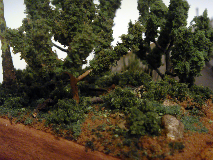 Dioramas and Vignettes: sd, photo #10