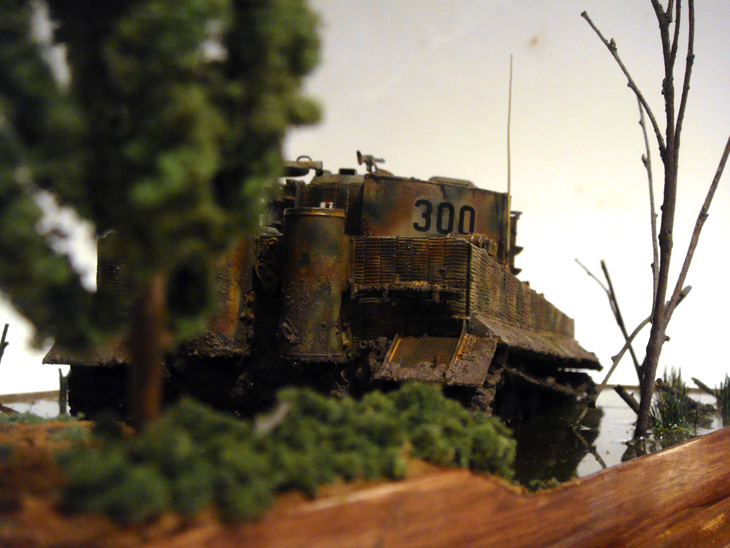 Dioramas and Vignettes: sd, photo #5