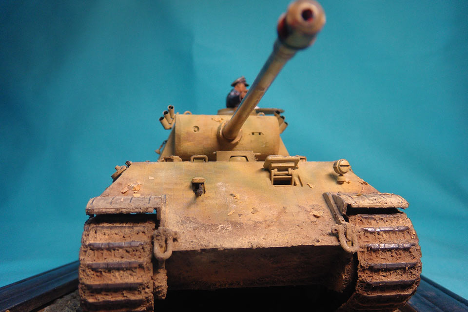 Dioramas and Vignettes: Pz.V Panther, photo #3