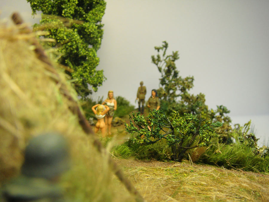 Dioramas and Vignettes: Beauty is a Power, photo #8
