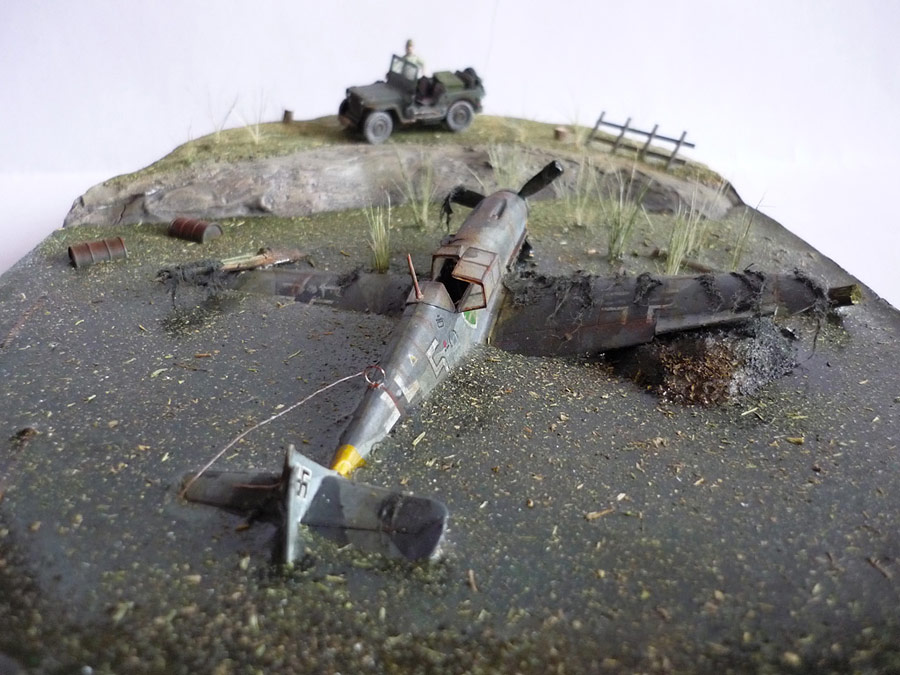 Dioramas and Vignettes: Find in the swamp, photo #7
