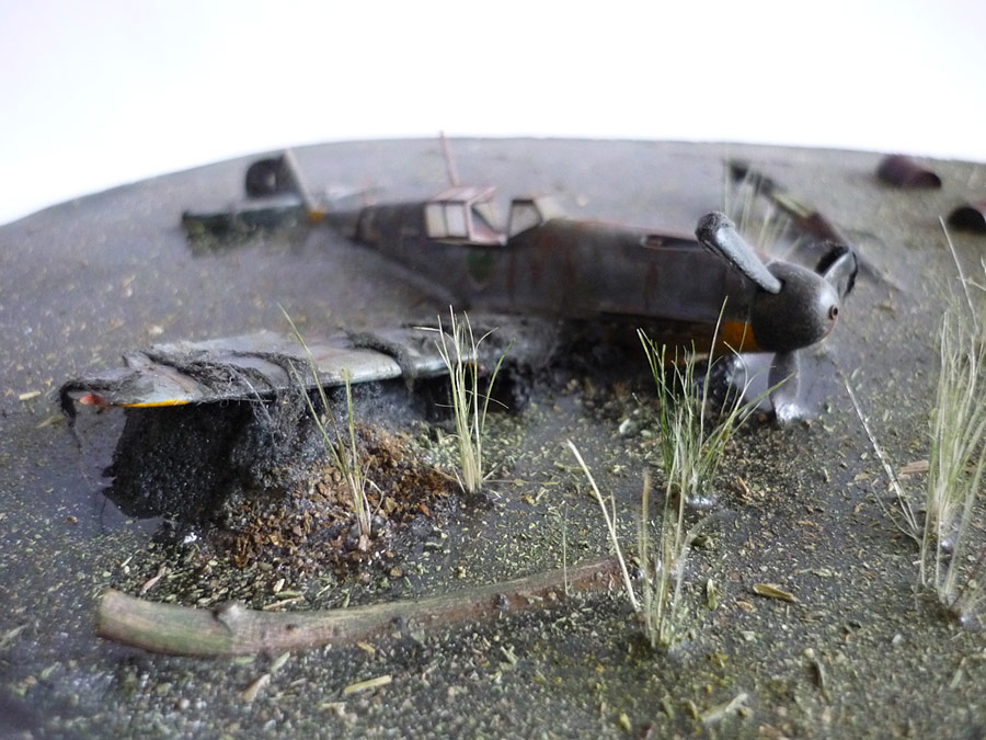 Dioramas and Vignettes: Find in the swamp, photo #8