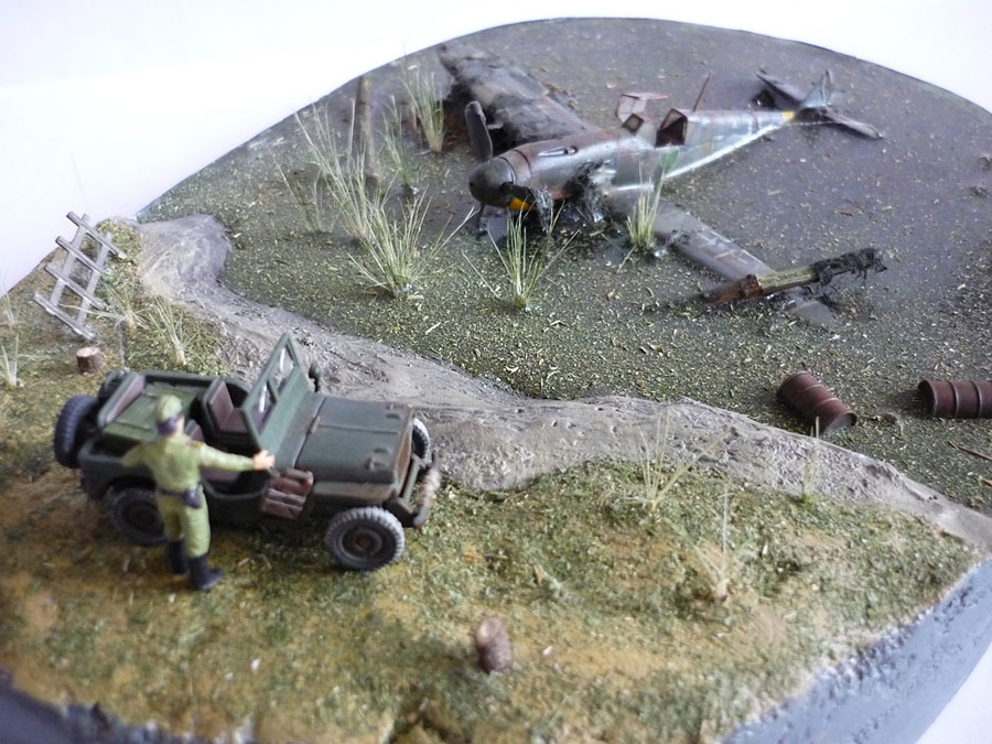 Dioramas and Vignettes: Find in the swamp, photo #9