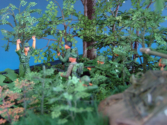 Dioramas and Vignettes: Pacific, photo #5