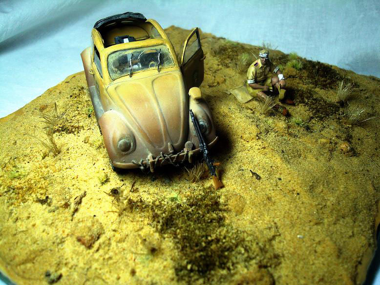 Dioramas and Vignettes: African Beetle, photo #1