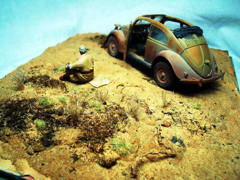 Dioramas and Vignettes: African Beetle, photo #3