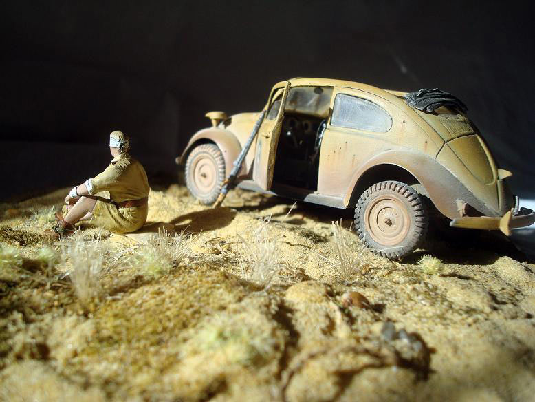 Dioramas and Vignettes: African Beetle, photo #4