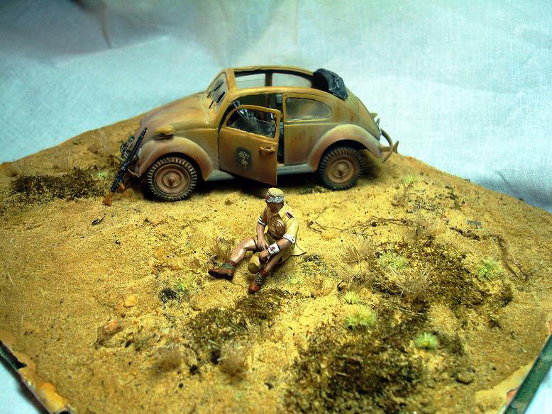 Dioramas and Vignettes: African Beetle, photo #5