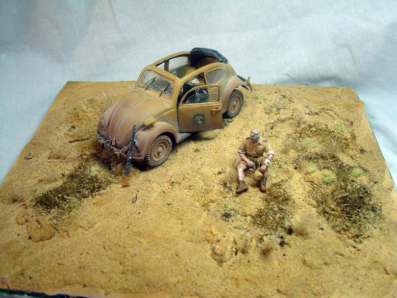Dioramas and Vignettes: African Beetle, photo #6