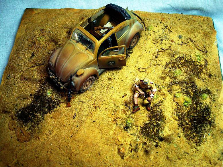 Dioramas and Vignettes: African Beetle, photo #8