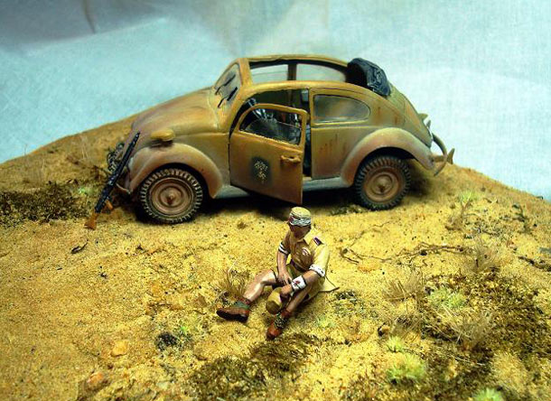 Dioramas and Vignettes: African Beetle