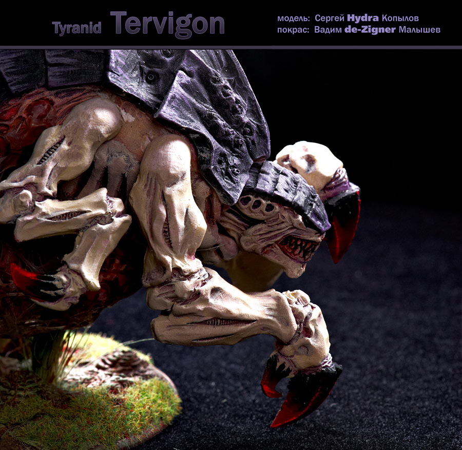 Miscellaneous: Tervigon, photo #3