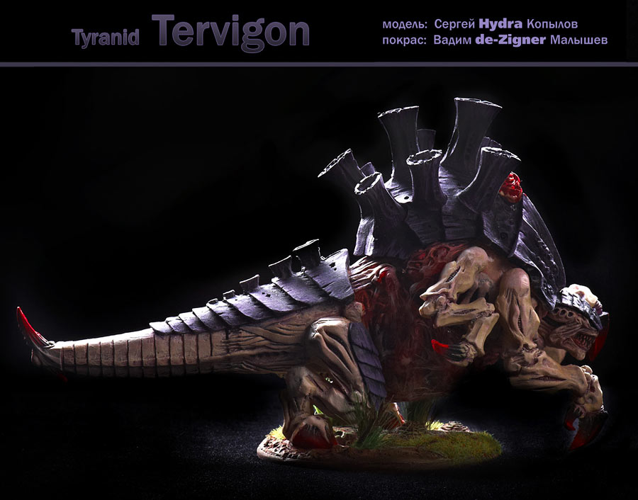 Разное: Тервигон, фото #4