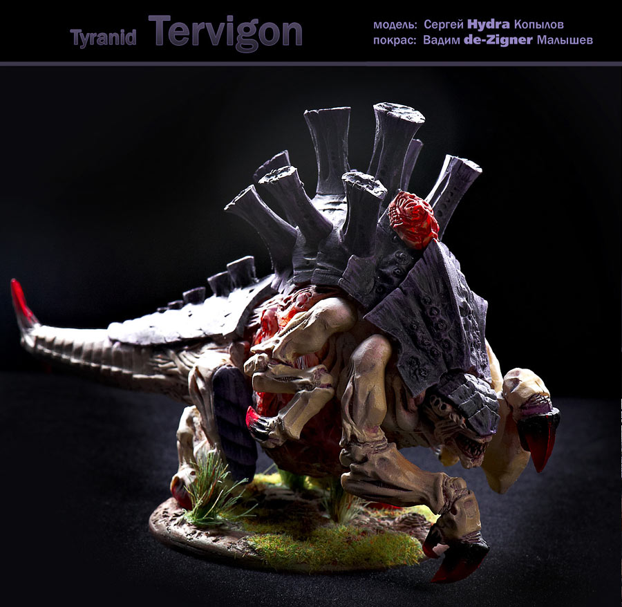 Miscellaneous: Tervigon, photo #6