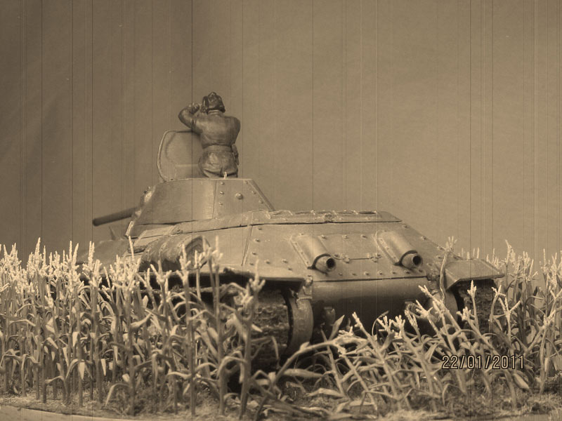 Training Grounds: Russian field, photo #12