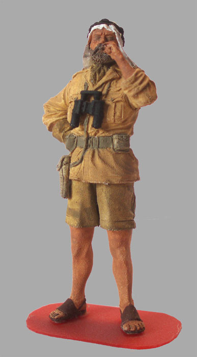 Training Grounds: LRDG officer, photo #1