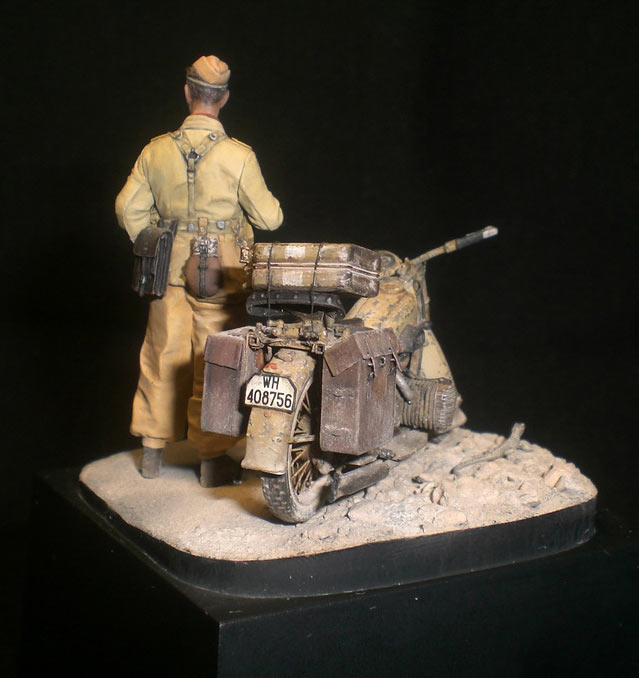 Dioramas and Vignettes: Desert lizard, photo #12