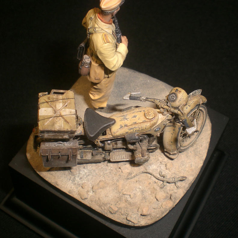 Dioramas and Vignettes: Desert lizard, photo #4