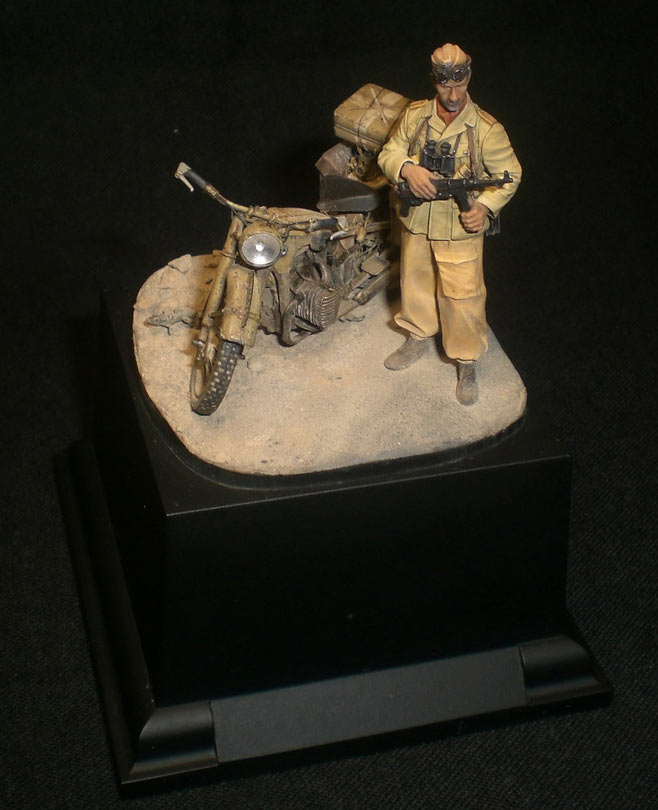 Dioramas and Vignettes: Desert lizard, photo #7