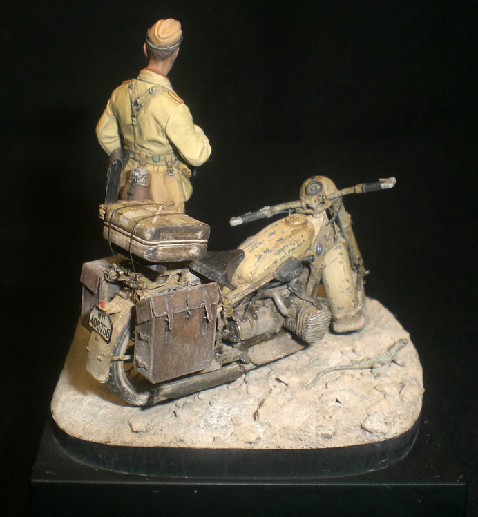 Dioramas and Vignettes: Desert lizard, photo #8