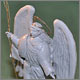 photo #3