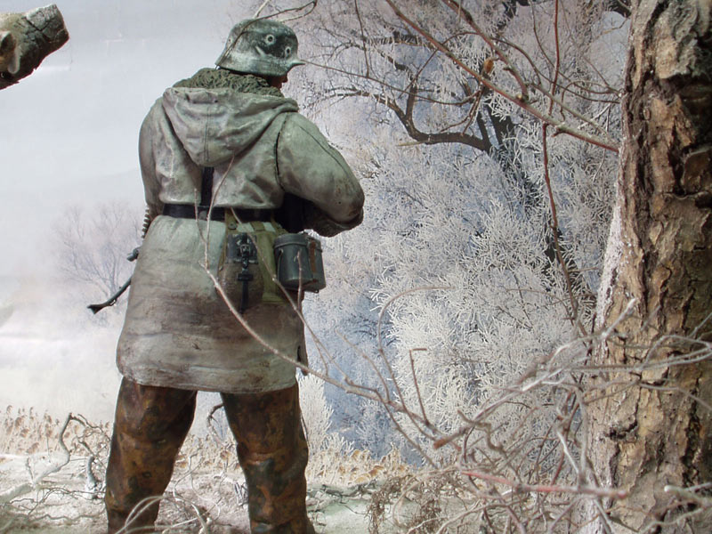 Dioramas and Vignettes: Wehrmacht Soldier, photo #6