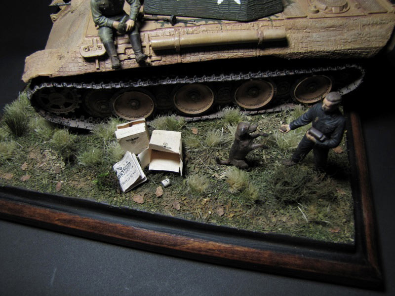 Dioramas and Vignettes: Red Cat, photo #9
