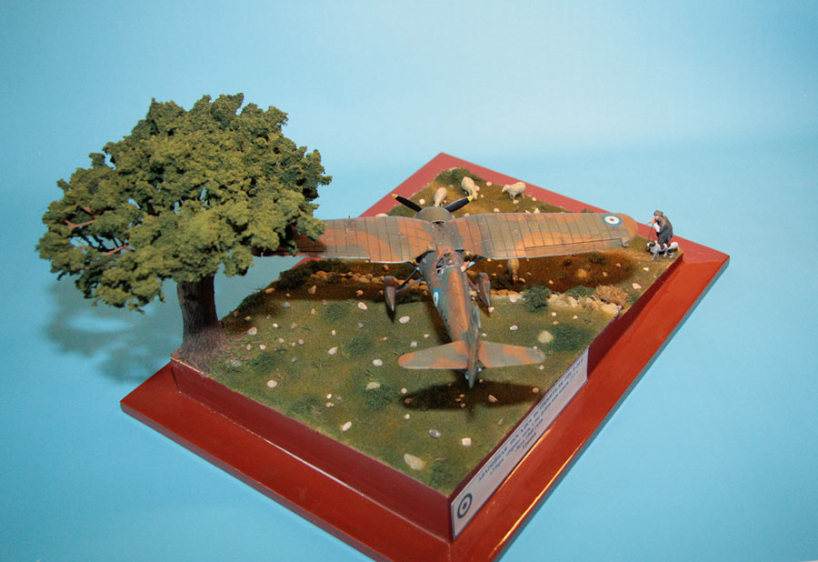 Dioramas and Vignettes: Crash landing, photo #7