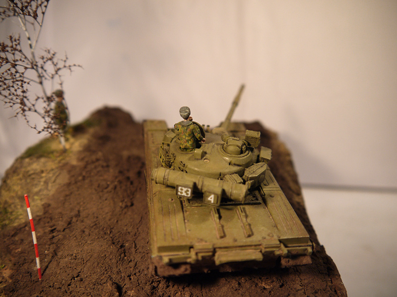 Диорамы и виньетки: Учебный заезд, фото #3