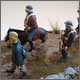 photo #6