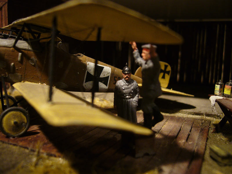 Dioramas and Vignettes: Albatros DII. 1917, photo #7