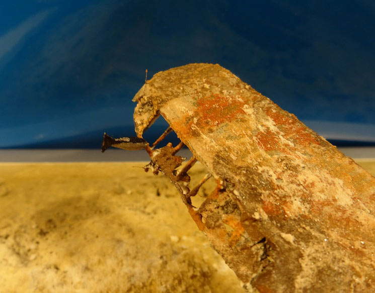Dioramas and Vignettes: Arado Ar-196: Rusty Submarine, photo #10