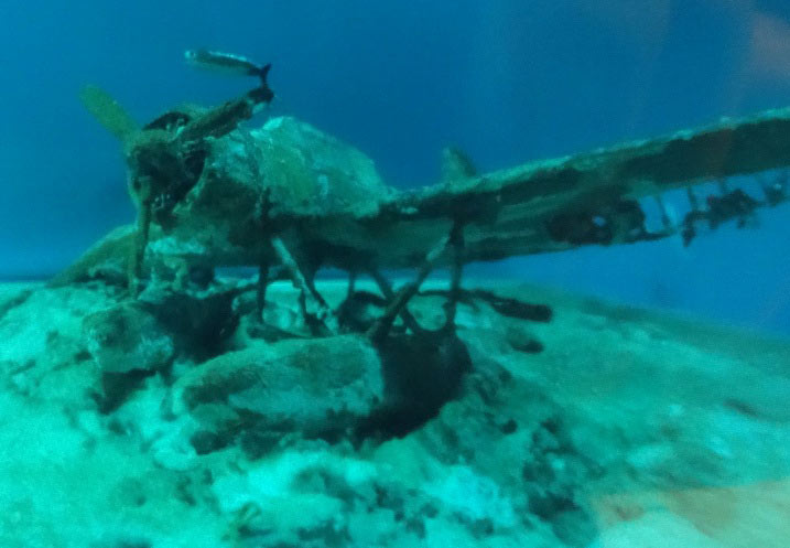 Dioramas and Vignettes: Arado Ar-196: Rusty Submarine, photo #2