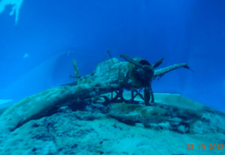 Dioramas and Vignettes: Arado Ar-196: Rusty Submarine, photo #6