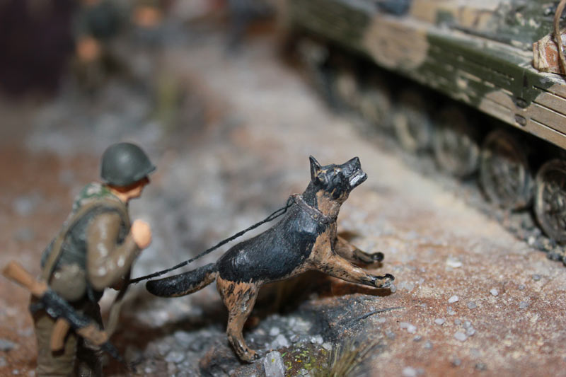 Training Grounds: Soviet troops in Afghanistan, photo #12