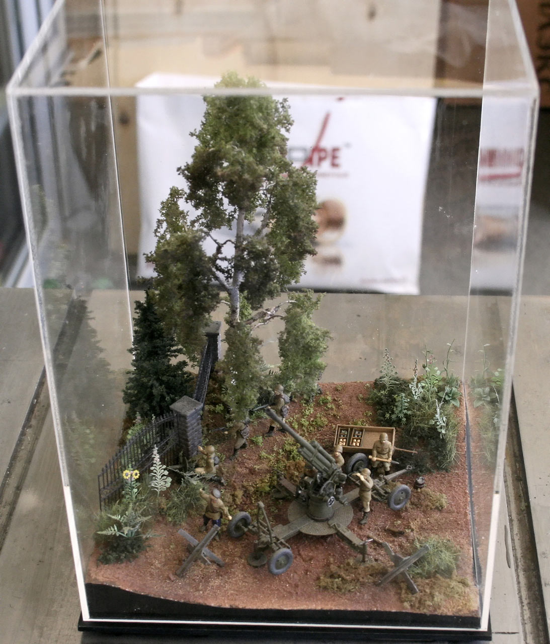 Dioramas and Vignettes: The first combat, photo #13