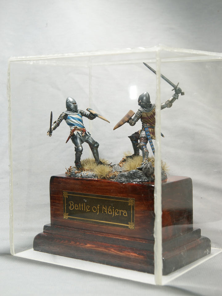 Dioramas and Vignettes: Battle of Najera, photo #14