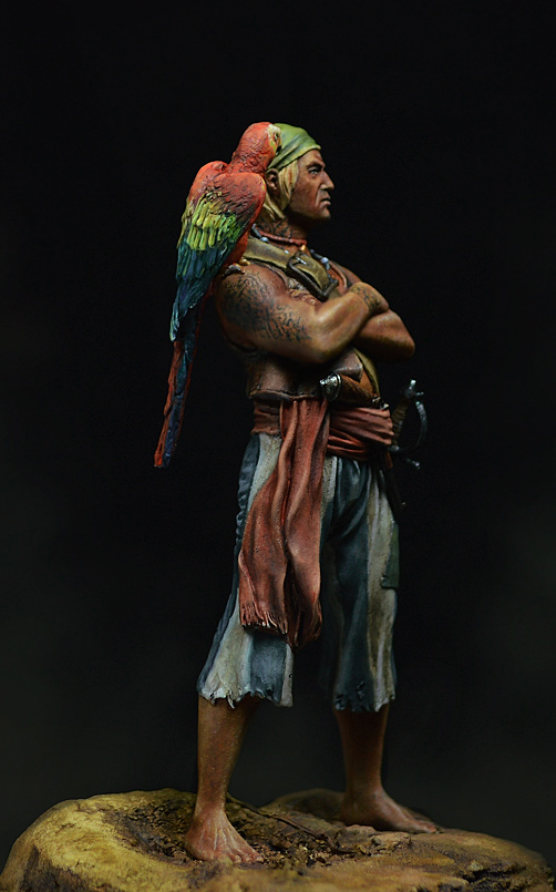 Figures: The Pirate, photo #2