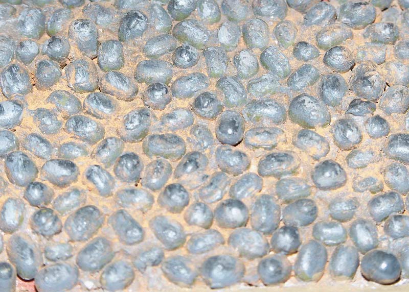 Учебка: Патруль, фото #4